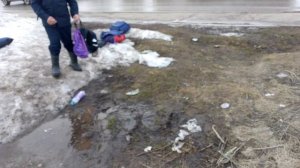 племя возвращается домой