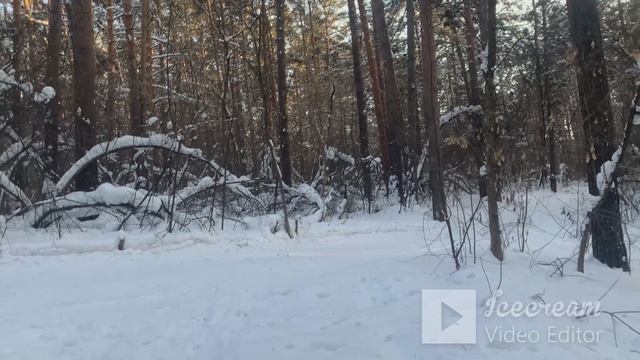 Почему большинство людей начинают расти тогда, когда достигнут дна.Часть2