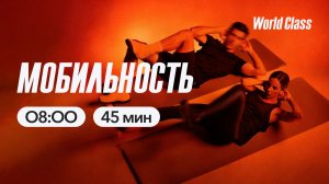 МОБИЛЬНОСТЬ с Альбертом Даниловым | 25 марта 2026 | Онлайн-тренировки World Class