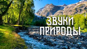 Звуки природы / Пение птиц и журчание воды в горной долине