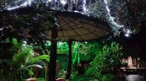 В отеле после ужина,первый вечер.