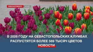 В 2026 году на севастопольских клумбах распустятся более 569 тысяч цветов