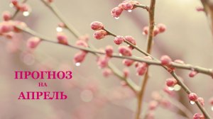 ПРОГНОЗ НА АПРЕЛЬ ДЛЯ ТЕЛЬЦА