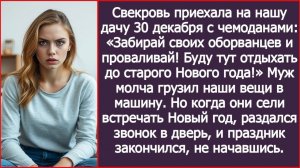 ИСТОРИИ ИЗ ЖИЗНИ|Сели встречать Новый год на моей даче|РЕАЛЬНЫЕ ИСТОРИИ|ЖИЗНЕННЫЕ ИСТОРИИ