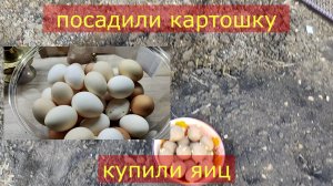 27. Перехали на Юг. Посадили картошку купили яйца остальное так по мелочи ;-)