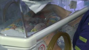 На протяжении 10 лет подряд в Воронежской области падает рождаемость