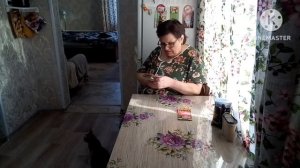 Сибирь весной/посадили рассаду