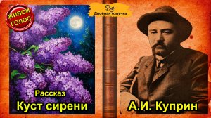Александр Куприн "Куст сирени". Аудиокнига