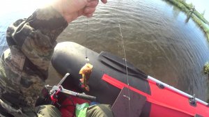 Забрались на озеро а там окуней тьма. ( Архив июнь 2022)