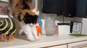 А теперь пятница