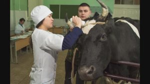 Быть студентом хорошо, но мешает учеба (сборник анекдотов №513)..