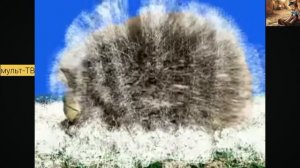 мультики для малышей/мультики для детей/смешные мультики.