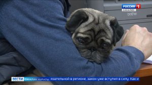 "Вести. Сахалин. Курилы". 24 марта 2026 года