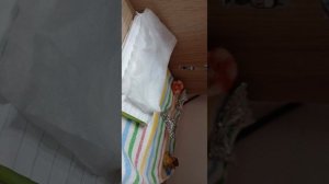 обустраеваем домик для Макси 🌸