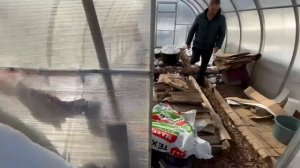 Первые посадки/Плинтус в дачу