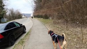 малиновая лада-малиновый закат