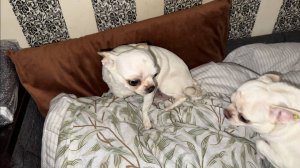 Доброго всем утречка и легкого начала дня.