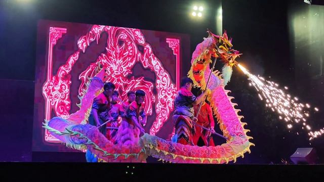 Дракон Свандор Шоу