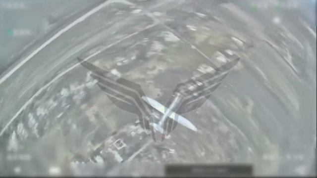 ����������� ���������������� ���� ���