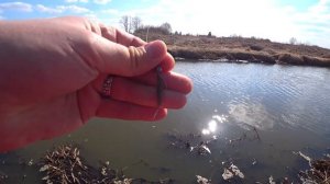 Рыбалка на Окуня Микроджиг Весной на Малой Реке Спиннинг Basara Micro Jig 7