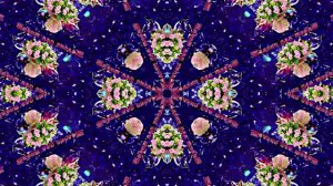 С Днём Рождения! Букеты роз 7 от Киностудии Мудрого Кота Тимофея!