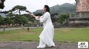 13 поз Уданского Тайцзи☯️подобны плывущим облакам✨💮Школа мастера Линъюнь в Китае.
