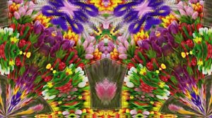 С Днём Рождения!!! Весенний сон 3!!! Музыкальная открытка от Киностудии Мудрого Кота Тимофея!