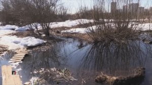 ПС - 25 марта 2026