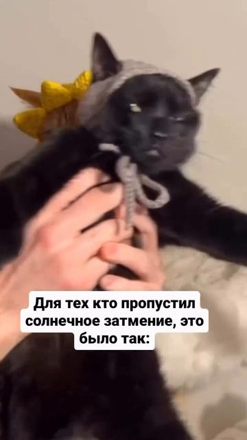 Солнечное затмение