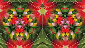 С Днём Рождения!!! Весенний сон 1!!! Музыкальная открытка от Киностудии Мудрого Кота Тимофея!