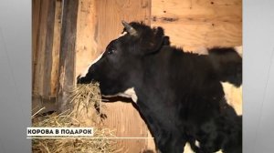 «ГУБЕРНИЯ: ПРОШЛОЕ», выпуск 24 марта 2026 года