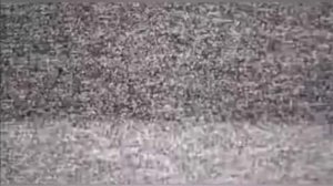 Бетный Кенчик