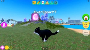 ИГРА С КОТЕНКОМ! СИМУЛЯТОР КОТА В ROBLOX