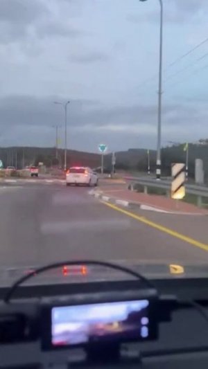 Cтражи Земли. Яна Титова NSM