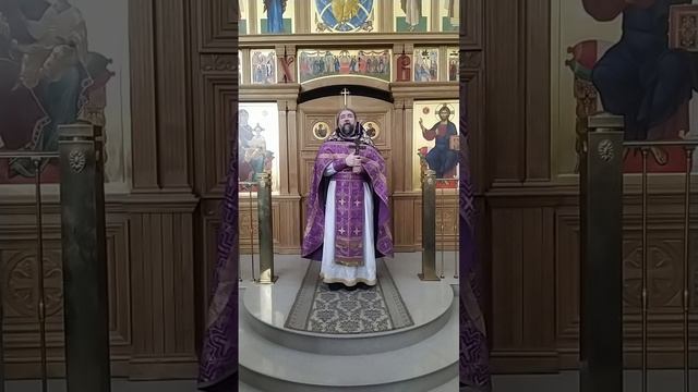 Исцеление бесноватого отрока. О греховной одержимости. Проповедь о. Андрея. 22.3.26