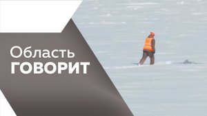 Область говорит №239