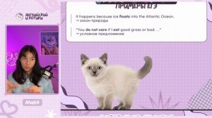 Повременим / день 1 / Present Simple + Present Continuous