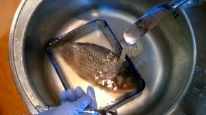 Как почистить рыбу от чешуи
