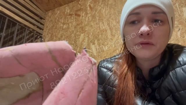 Соня с детьми ищут настоящий ДОМ. Приют - это временное пристанище