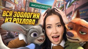 ВСЯ ЗООЛОГИЯ из сборника Рохлова | Жанна Казанская | Биология ЕГЭ | Умскул