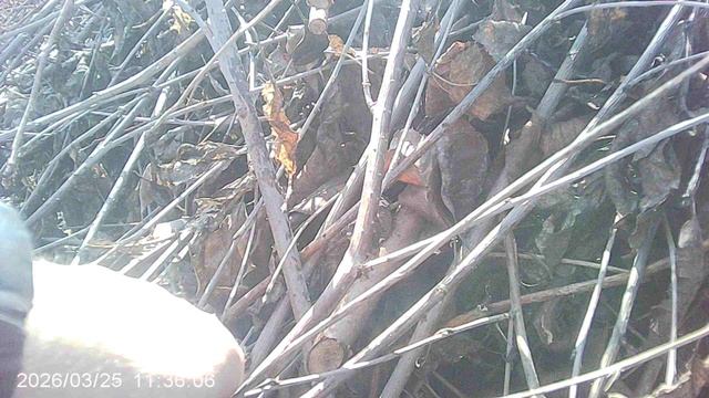 Обзор нашей четвёртой компостной кучи