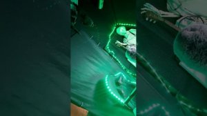 2 чат стрим лайфстайл я студент медик в медицинском университете 1 курс лечебный факультет Бромедик