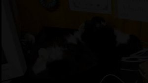 2005-Райская жизнь