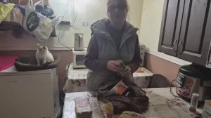 Алиса Неземная- ОПЯТЬ ПОКУПКИ- ПРИШЛА ПОСЫЛКА-ОБУВЬ