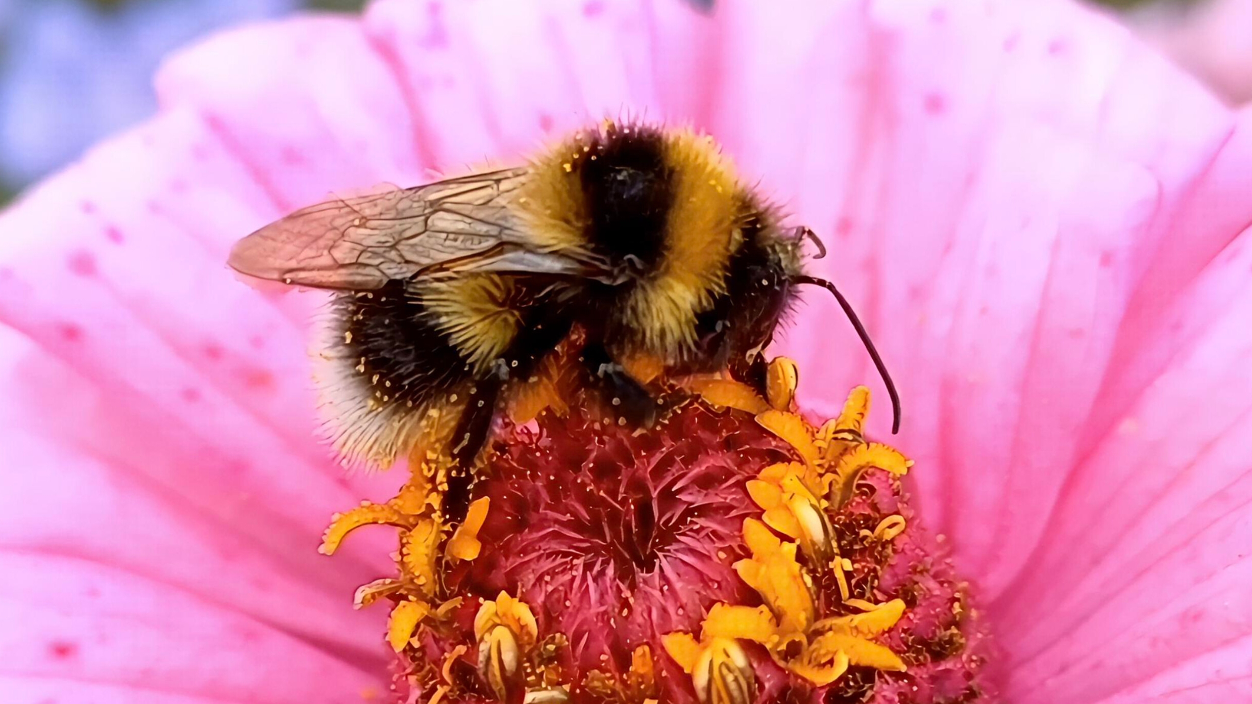 Красочные моменты природы . Музыка релакс .