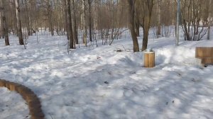 ✅️Вышла Света погулять и про сына рассказать.😉