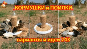 Кормушки и поилки для кур своими руками 243 🪚✂️ Пошаговая инструкция как сделать 🐔 🐓❣️