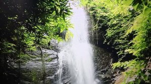 Рыма Чек и Люба Ситцевая- одно лицо на двоих