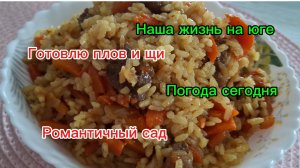 25-03-2026 /Мечты сбываются/Жизнь на юге/Наши будни/Вкусный плов//Щи из квашеной капусты//Сад вечер/