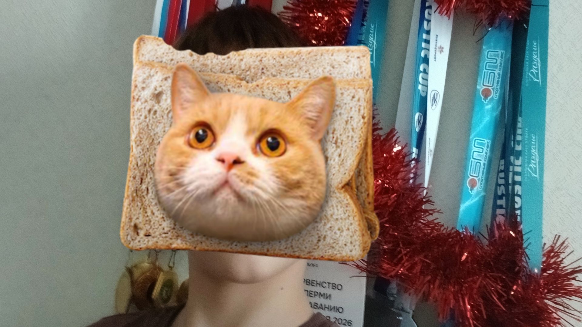 Мои награды